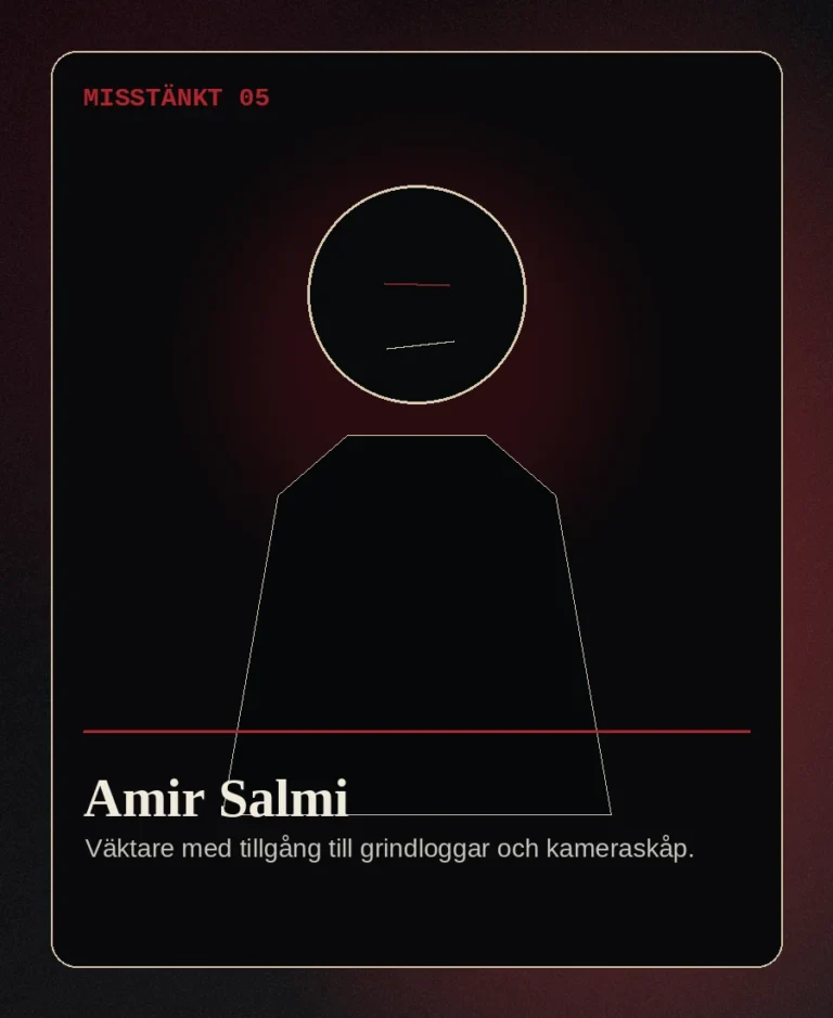 Amir Salmi